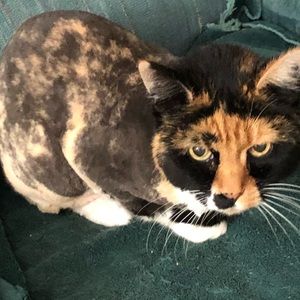 Meet your Posher, Charles